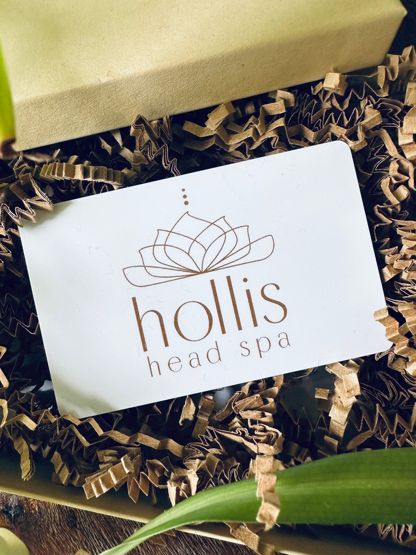 $200 Hollis Head Spa Gift Card